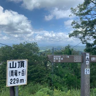 三毳山山頂。青竜ケ岳。
本日の最高峰、229m。

山頂に建物があって、遊具とかあった記憶があるけど、全くない😱
売店もなくドリンクも買えない😱

あれは、わんぱく広場の記憶だったのか😱

もう少し先にカタクリ山があるので行ってみます。
