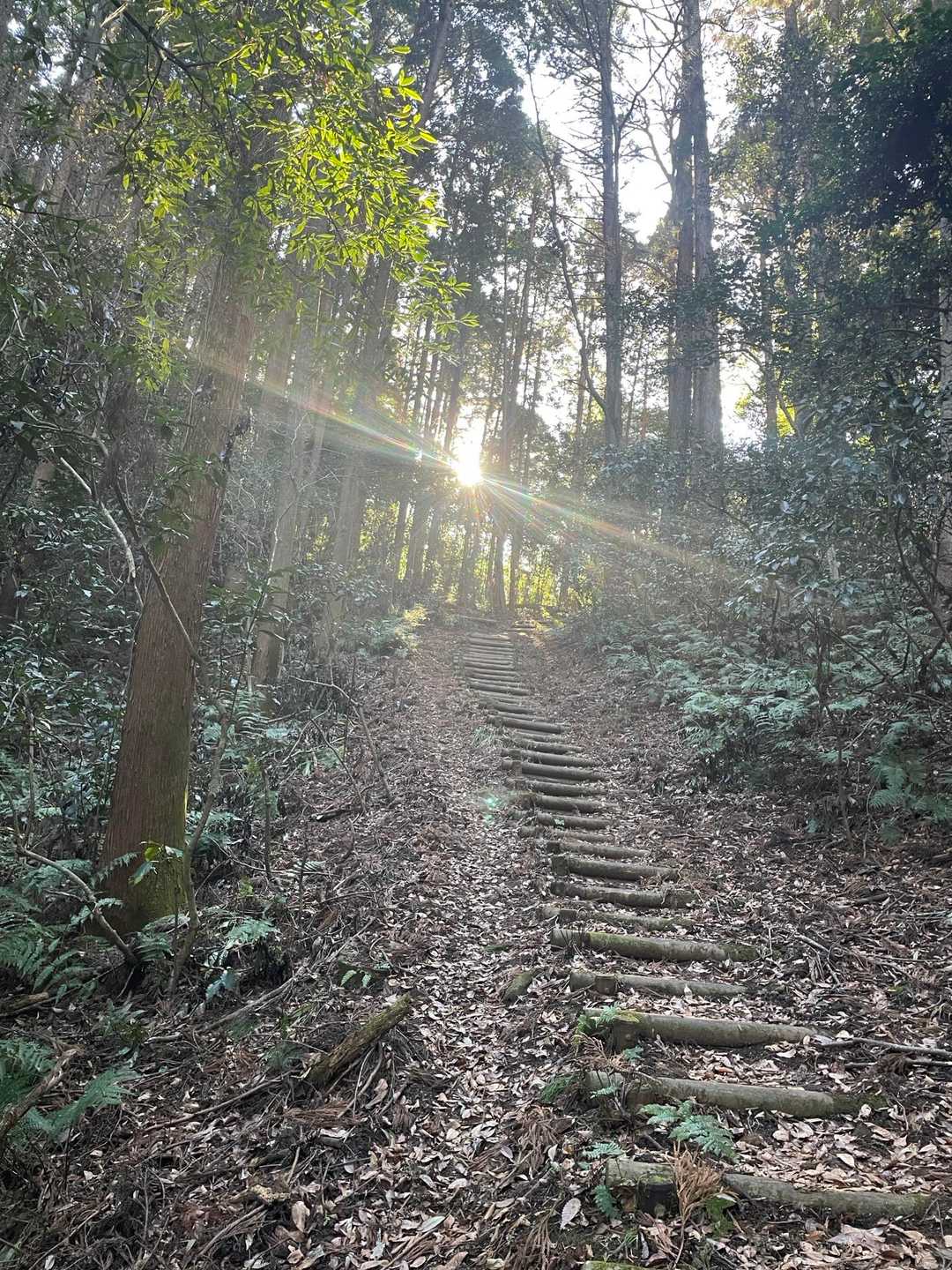 中々の急な階段…😮‍💨