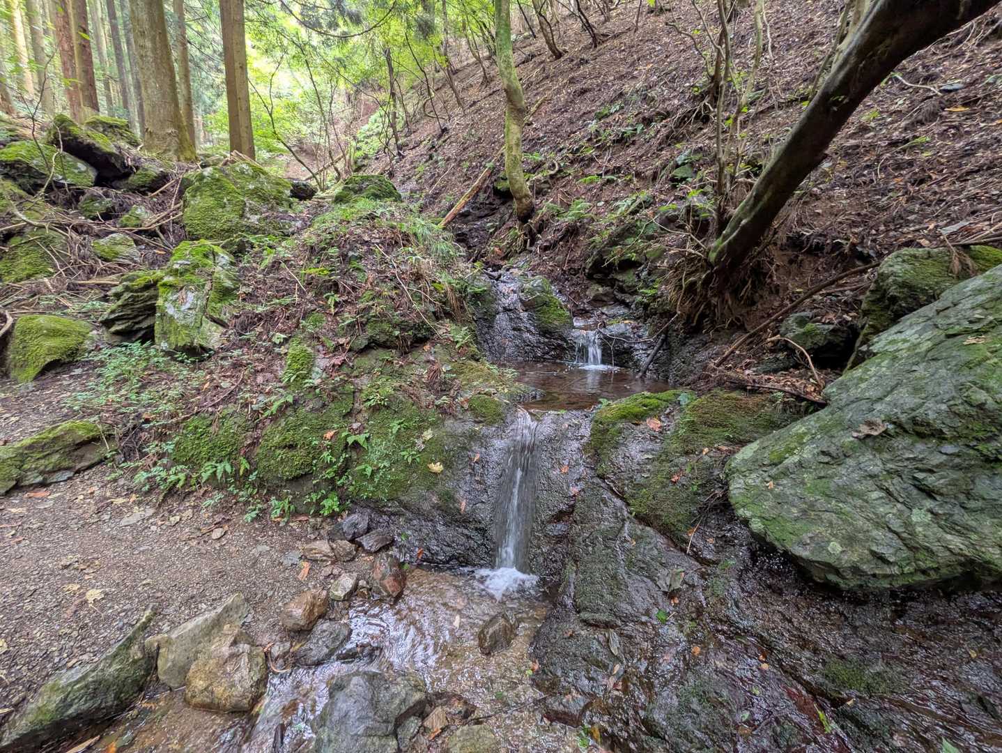 兵の沢の水場
手ぬぐいを濡らして首を冷やすと気持ちイイ😆✨