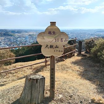 越生10名山の大観山だそうです