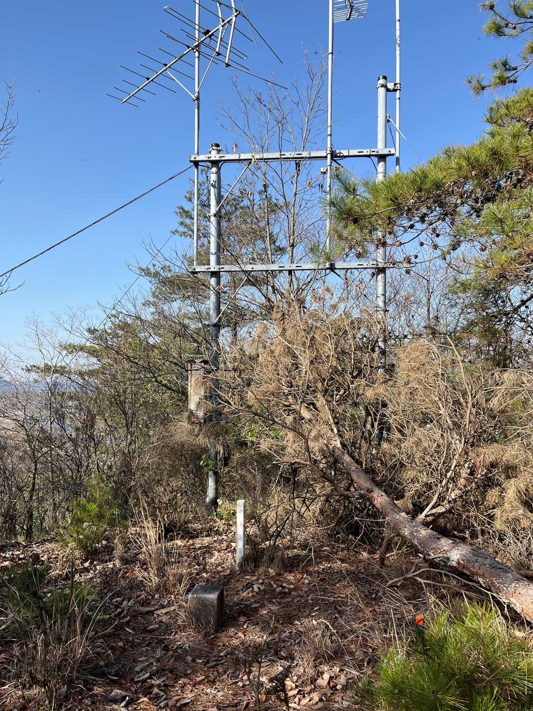 大谷山🚩は、南側のYAMAPの赤い線のルートより歩きやすいとのレポを見たので、西側から⇄