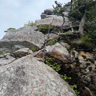 楽しそうです✌️