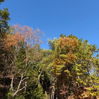 本山寺パーキング🅿️から。