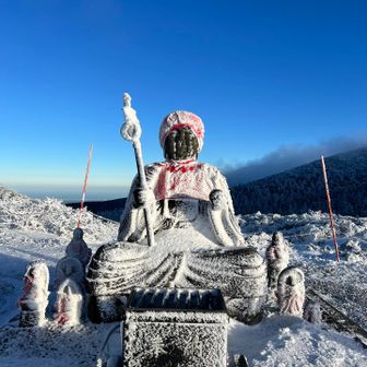 日が当たるとにこやかですね。帰ります。