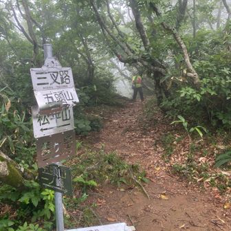 三叉路
