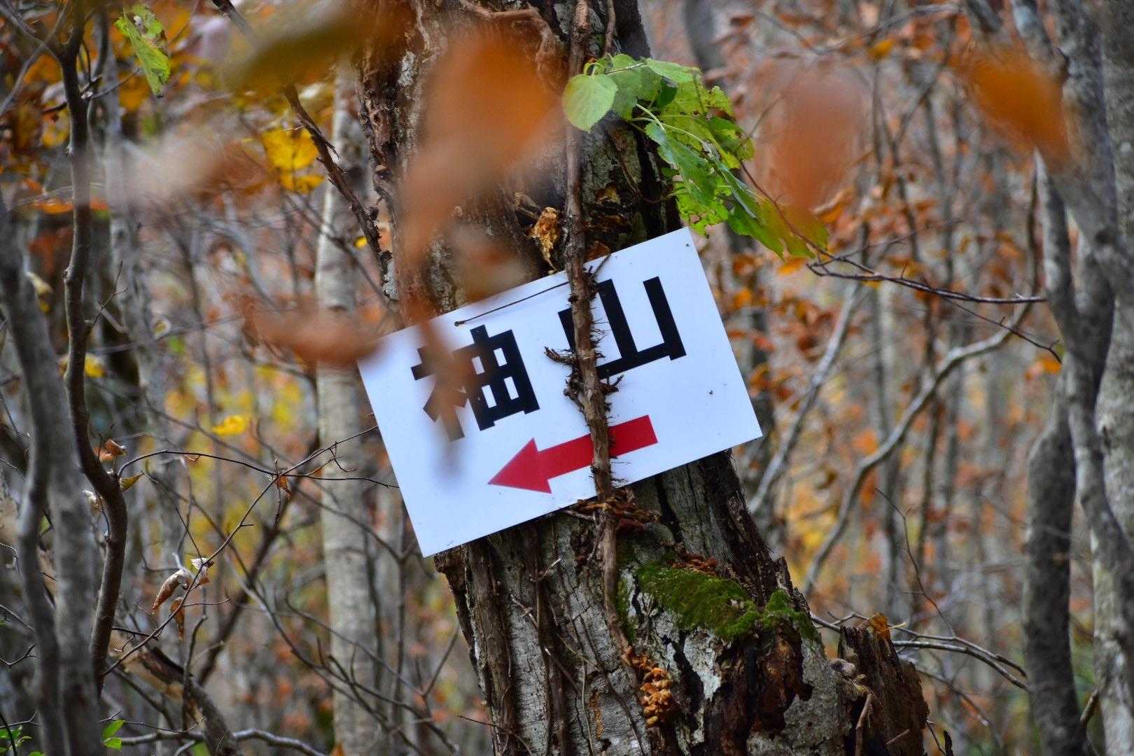 標識はこまめに設置されています