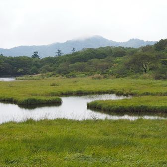 湿原はガスでもいい感じですねー