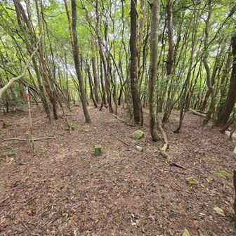三角点だけで展望がないのですぐに下山