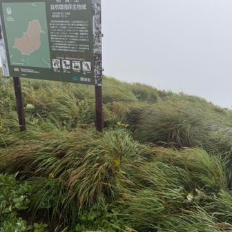 反対側の高下登山口からのルート
こっちはさらにやばそう。