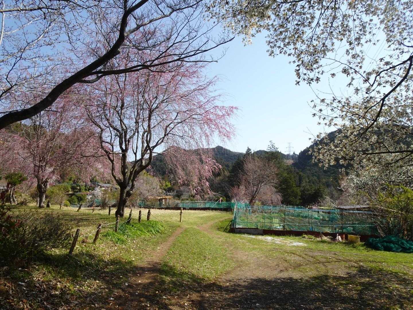 ユガテ着☺️