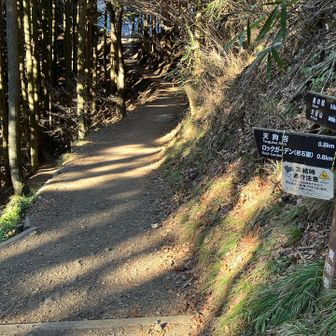 ロックガーデンは左へ