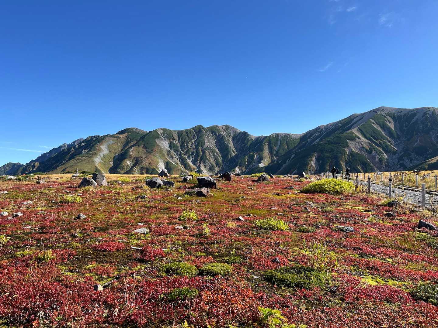 立山登拝道 | 祓堂を経て雄山神社へ、富山の小学生も登る日本三霊山の王道の写真