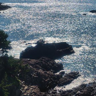 海岸へ降りたら
蜂の巣のように整った六角形の
柱状節理をみられる場所なのです
しかし、そこへ続く道は
草木が生い茂ってる🌿
装いがラフ過ぎて断念👗