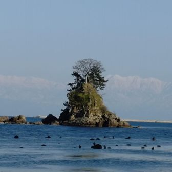 t.suzuki