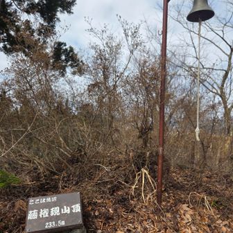 この先に行かず、来た道を降りて