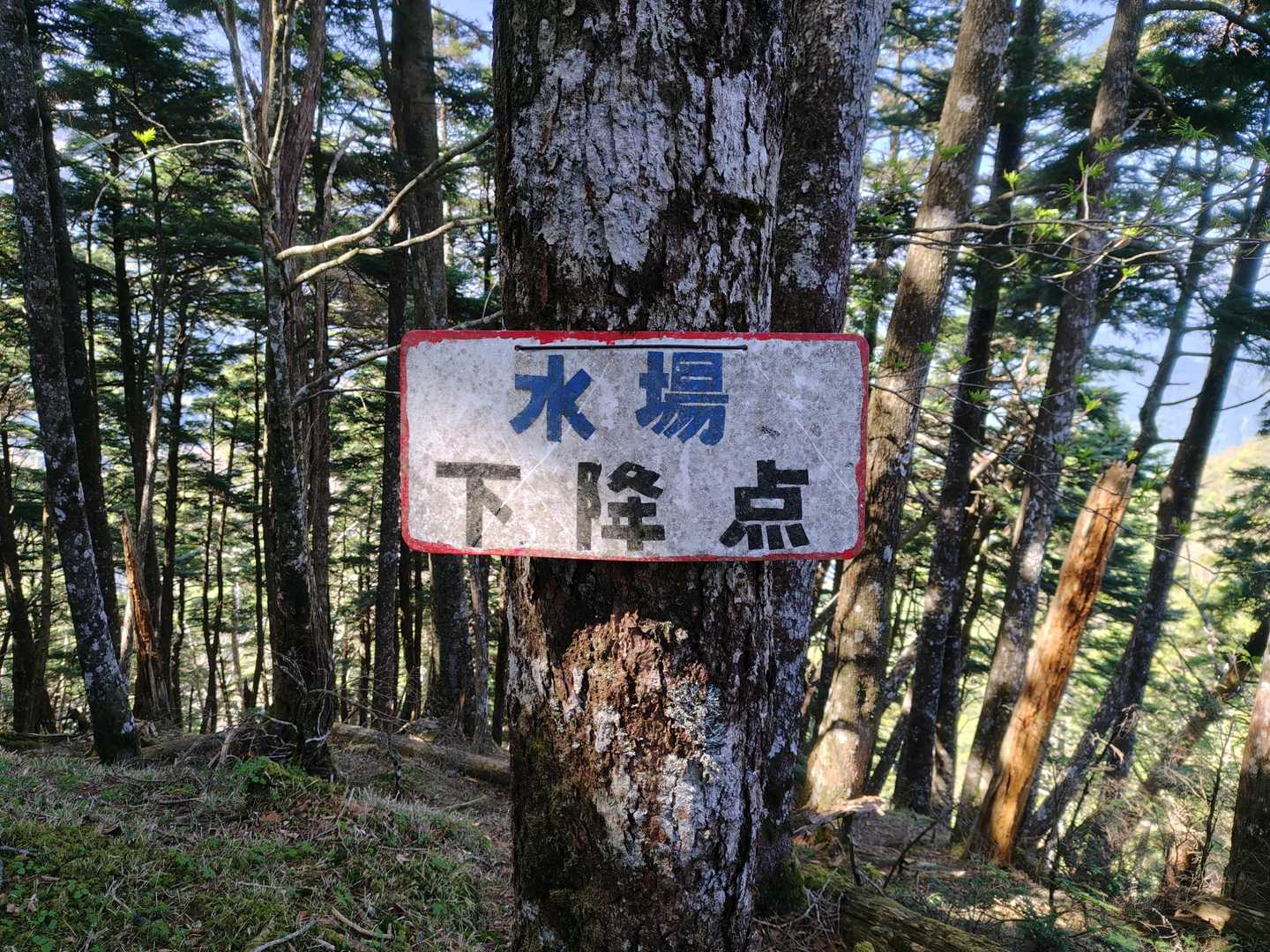 水場は確認していません💧