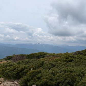 わかりにくいけど、平が岳見えた。越後駒ヶ岳も。