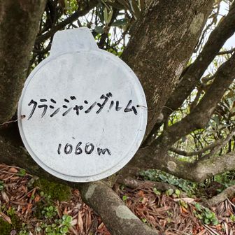 憧れるのはやめましょう
…って　やっぱり憧れますね⛰️✨

今日はクラシジャンダルム1060m
本物は3163m

3倍頑張ればいける？笑