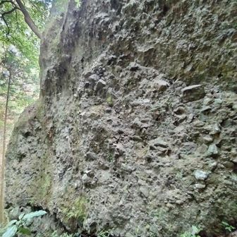 大きな堆積岩