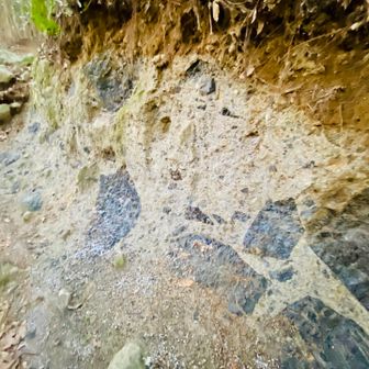 天草の次郎丸嶽を思い出す地層