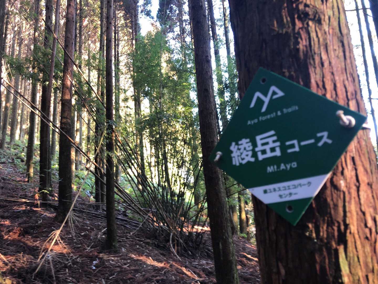 すた〜とです🚶‍♀️