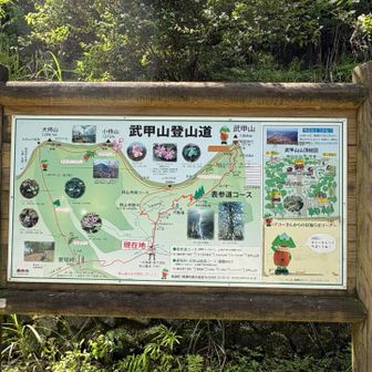 武甲山登山道  案内

表参道コース行きます
