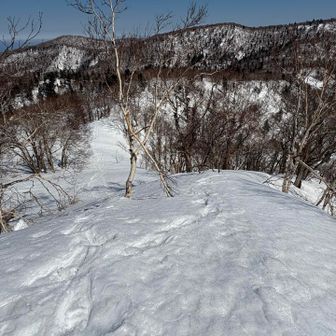 ここを上がってきたら⬆️