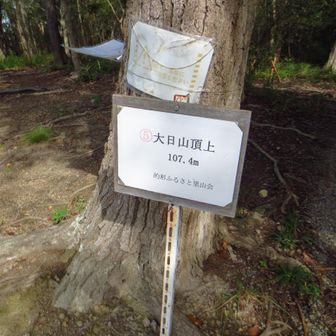 大日山山頂