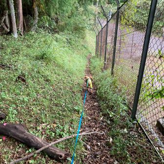 この先が登山口。お山歩、終了。