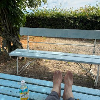 暑さで疲れました。境内のベンチで靴と靴下を脱いで休憩します。風が吹くと気持ちいいですね。
