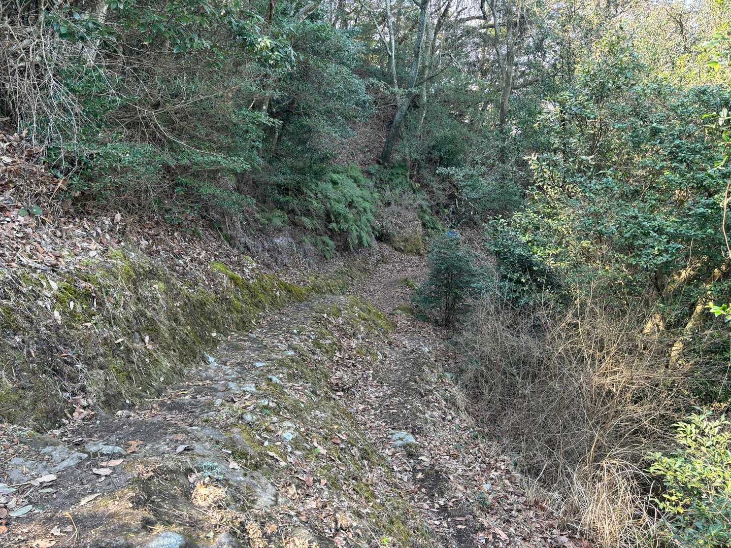 ハシゴの近くから奥に行く道が正しい下山道でした😅