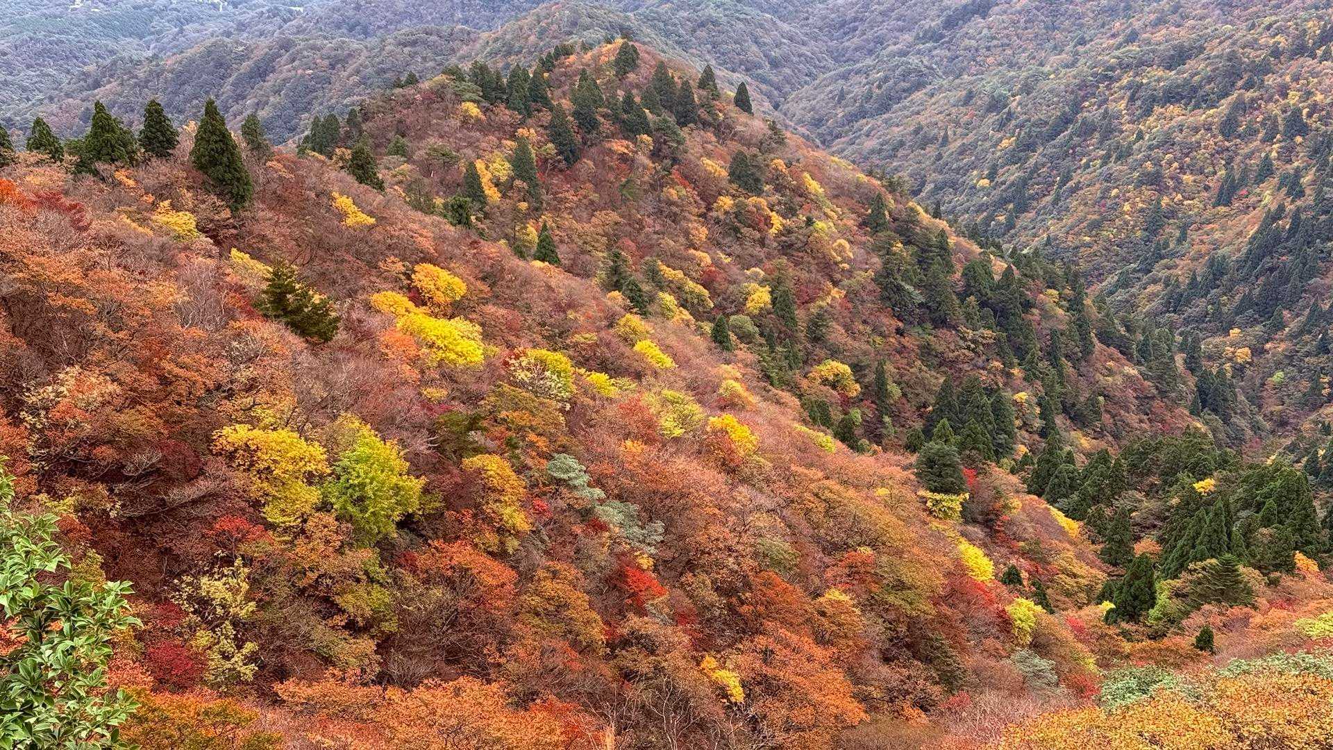 最高😃✨です。　こんなに色とりどり
来てよかったー