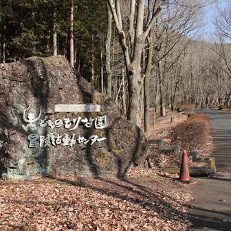 午後の後半の部は、こどもの森公園🅿よりスタート。