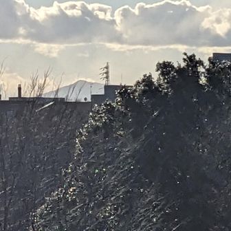 ズーム📷️で大山