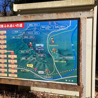 トレイルはここで終了☑️