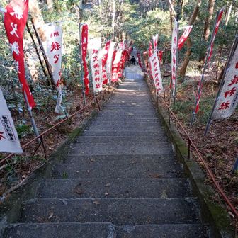 秩父御岳山神社の階段で急斜面になっていたようです💦