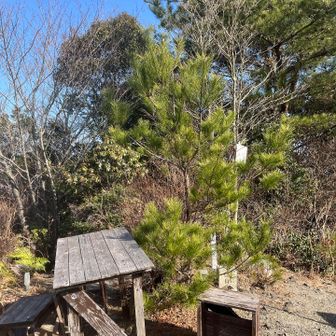 机や椅子があって落ち着けます