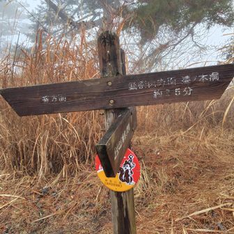 櫟山。雨が強い