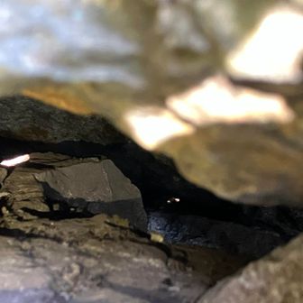 奥で何か光ってます？