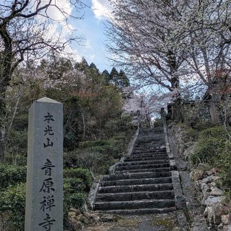 ありがとうございました♪