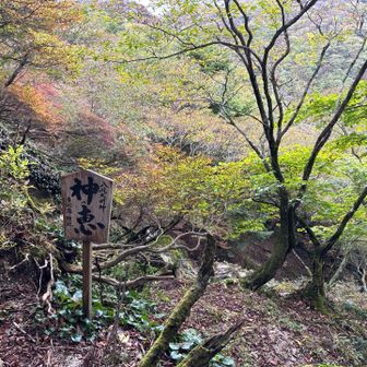 思いの外暑くて、八風峠近くの水場に寄りました⛲️
この奥の方に少し降りたらあります