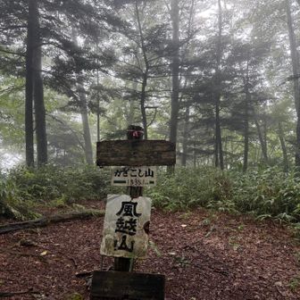 着いた〜
風越山山頂🙌初めて✨
ガスガス☁️晴れていても眺望はないけどね🤣

あれ？ミヤマウズラ見かけなかった💦
見逃した〜〜😭