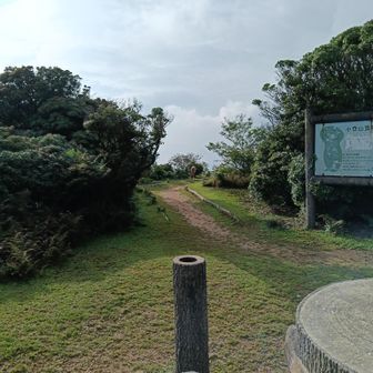 鹿が居たので静かに近づき