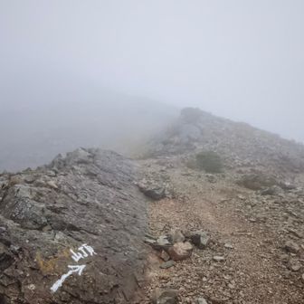 と言うことで、山頂へ