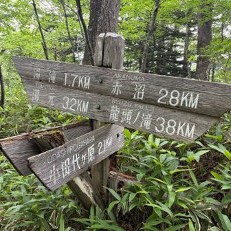 この分岐で小田代ヶ原方向に向かいますが
ちょっと寄り道
この先の泉門池に立ち寄ります