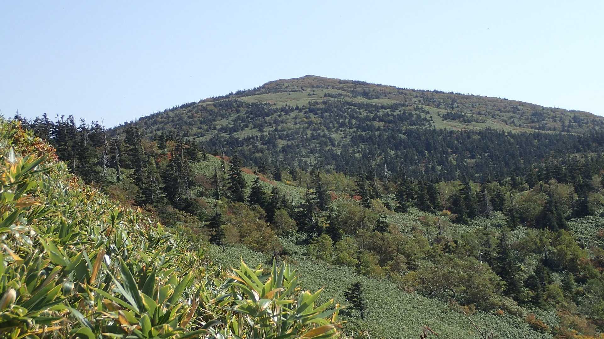 先ずは一ノ腰へ向かう途中から森吉山山頂の向岳
