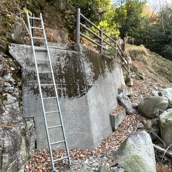 ハシゴ〜😭
使わずに済まないかウロウロしたけど、使うしかなかった
今日一番怖かった😭