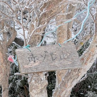 赤ゾレいいね🥰