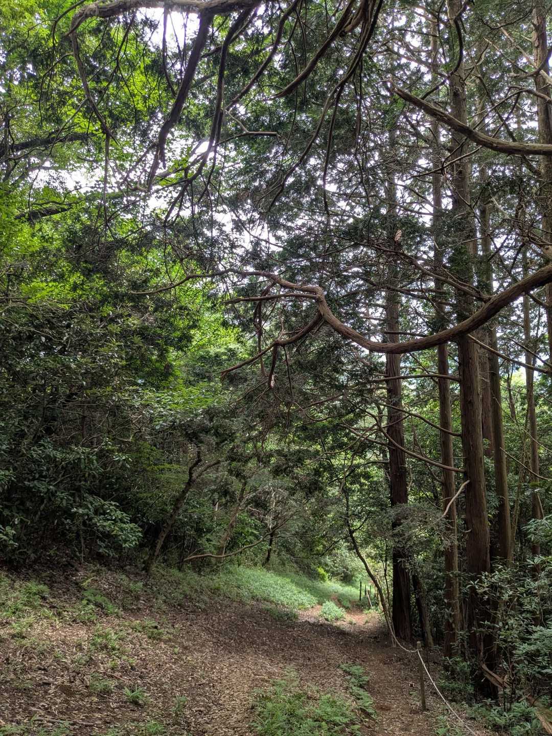 休みながら、自分のペースで🌿