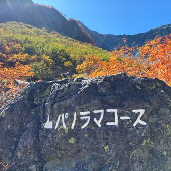 ヒュッテの手前、パノラマコース方面へ